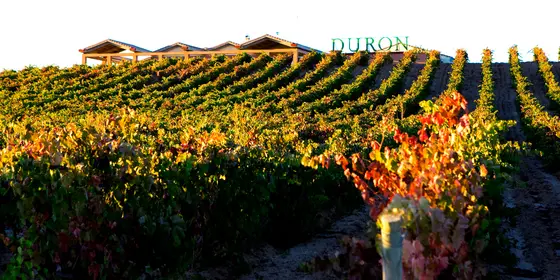 Bodegas Durón
