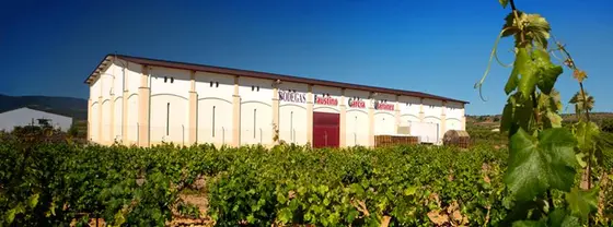 Bodegas Faustino
