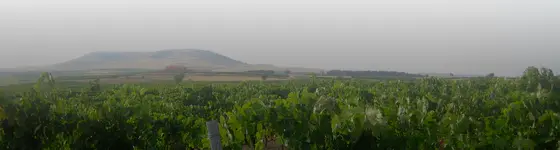 Bodegas Hercal