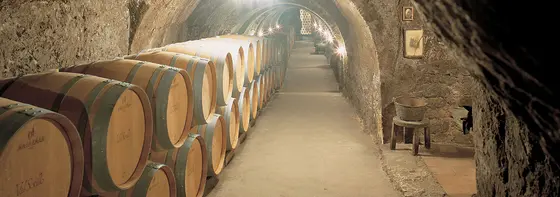 Bodegas Ismael Arroyo – Valsotillo