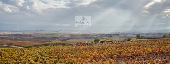 Bodegas Jer