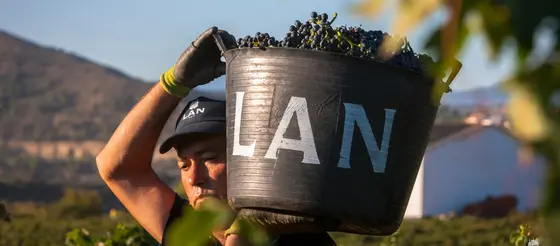 Bodegas Lan