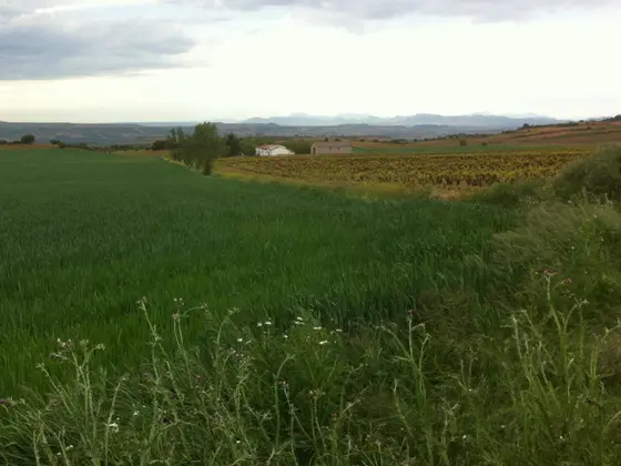 Bodegas Larraz – Caudum
