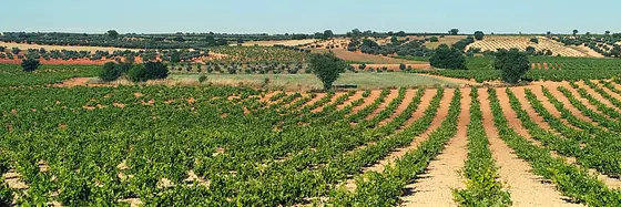 Bodegas Latúe