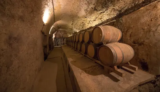 Bodegas Lecea