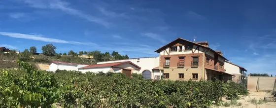 Bodegas Loli Casado