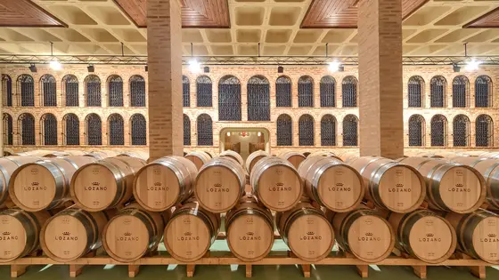 Bodegas Lozano