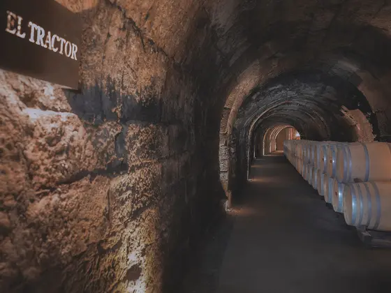 Bodegas Marqués de Arviza