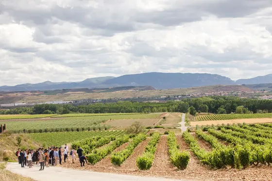 Bodegas Marqués del Atrio