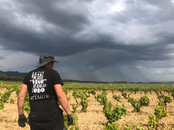 Bodegas Mitarte