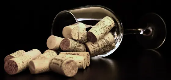 Bodegas Montenoble