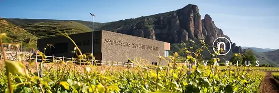 Bodegas Nivarius