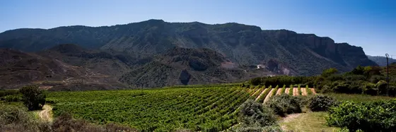 Bodegas Nuestro de Diaz Bayo