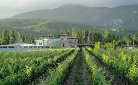 Bodegas Puelles