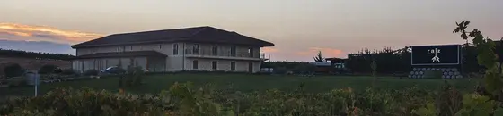 Bodegas Raiz de Guzman