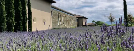 Bodegas Roda