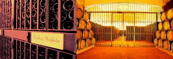 Bodegas Señorío de Nava