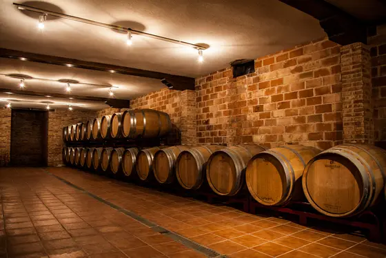 Bodegas Símbolo