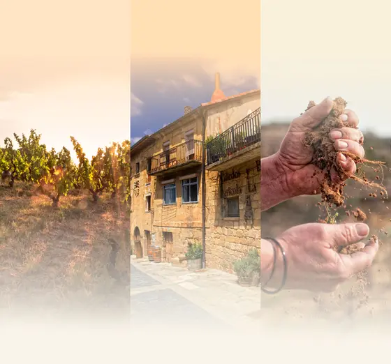 Bodegas Tierra