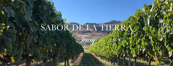 Bodegas Triay