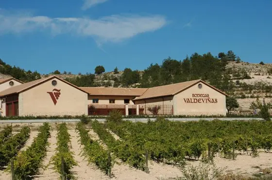 Bodegas Valdeviñas