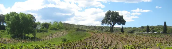 Bodegas Valle Blanco