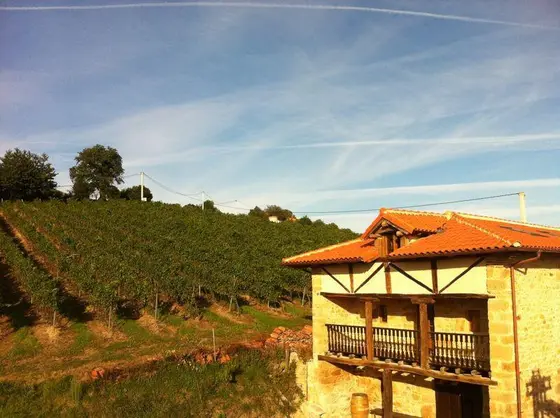 Bodegas Vidular