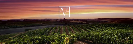 Bodegas Vilano