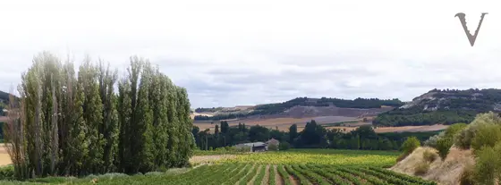 BODEGAS VIRTUS Enoturismo
