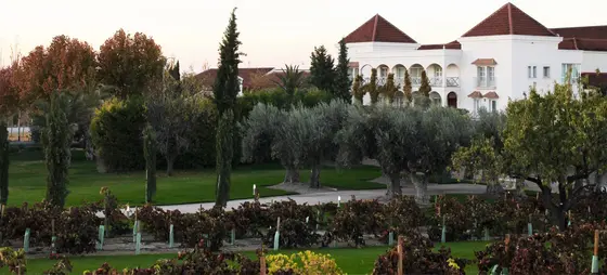Bodegas y Viñedos Casa del Valle
