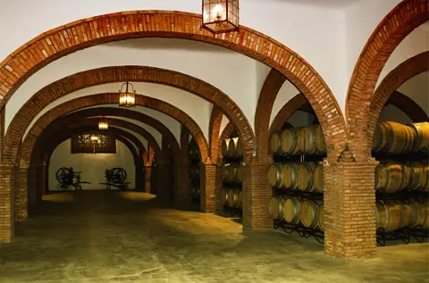 Bodegas y Viñedos de Cinco Casas
