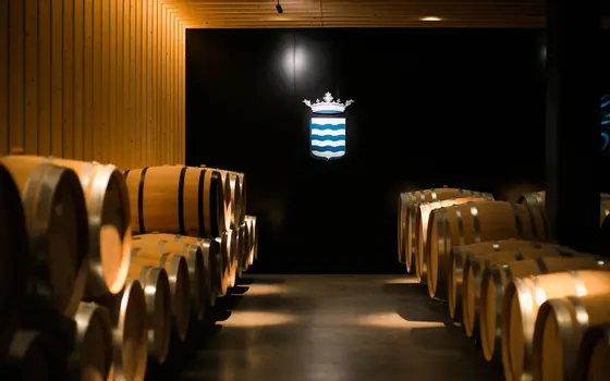 Bodegas y Viñedos del Marqués de Vargas