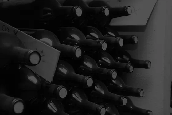 Bodegas y Viñedos Escudero