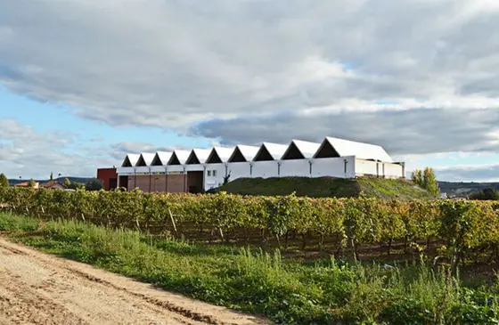 Bodegas y Viñedos Lleiroso