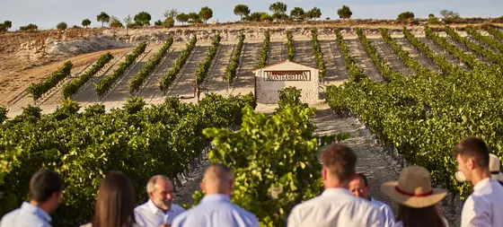 Bodegas y Viñedos Monteabellón