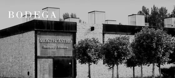 Bodegas y Viñedos Montecastro