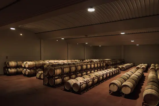 Bodegas y Viñedos Montegaredo