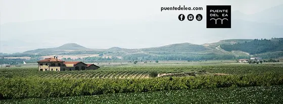 Bodegas y Viñedos Puente del Ea