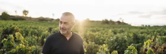 Bodegas y Viñedos Pujanza