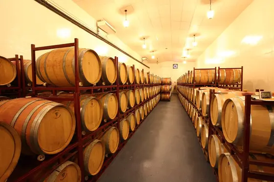 Bodegas y Viñedos Rauda