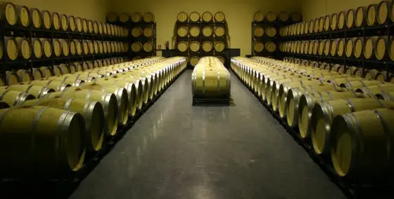 Bodegas y Viñedos Tábula
