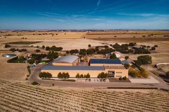 Bodegas y Viñedos Valderiz
