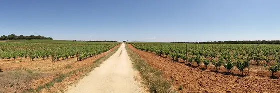 Bosque de Mata Asnos