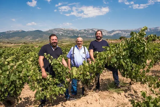 Bodega Hnos. Frías del Val