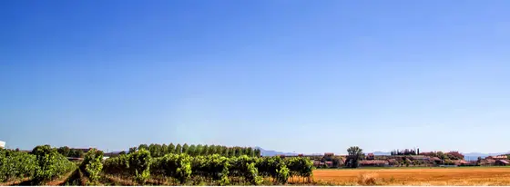 Bodega Virgen de la Vega