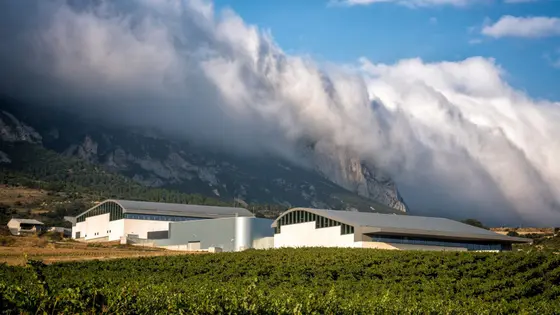 Bodegas Benjamin Rothschild & Vega Sicilia