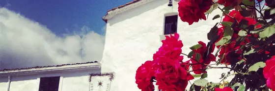 Bodegas Ca n’Estella