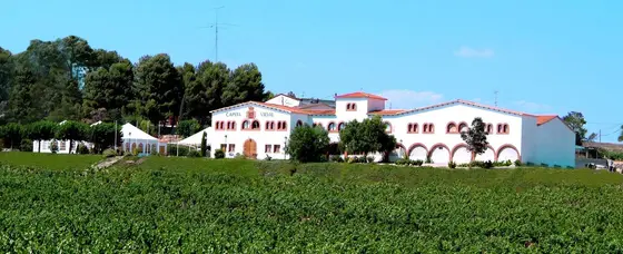 Bodegas Capità Vidal