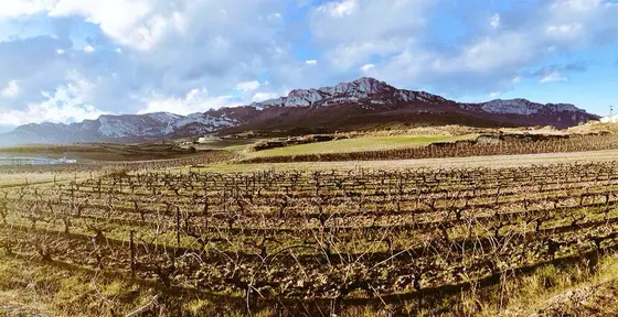 Bodegas Ruiz de Viñaspre