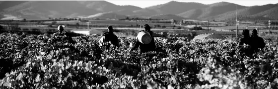 Bodegas San Valero